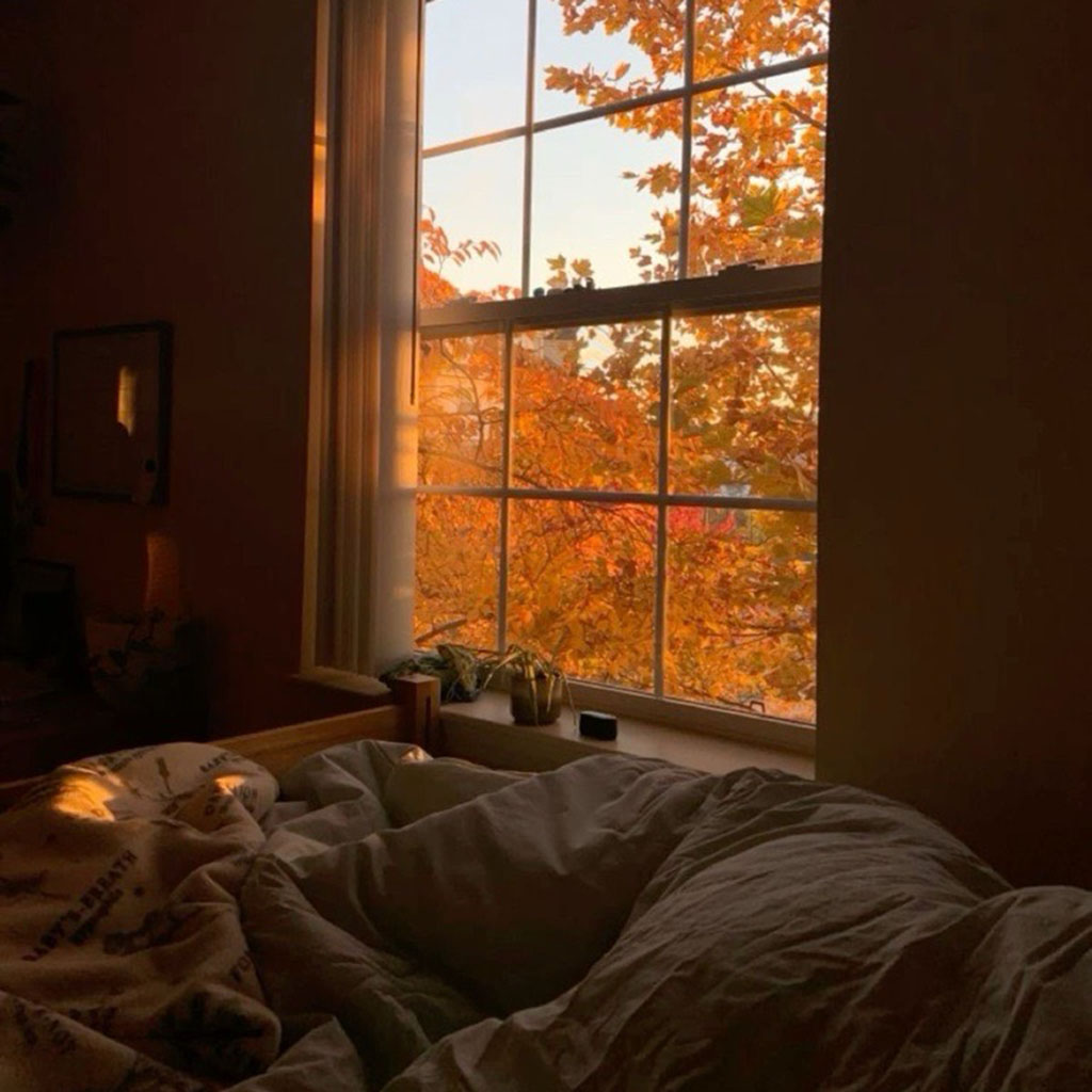 Fenster Herbst